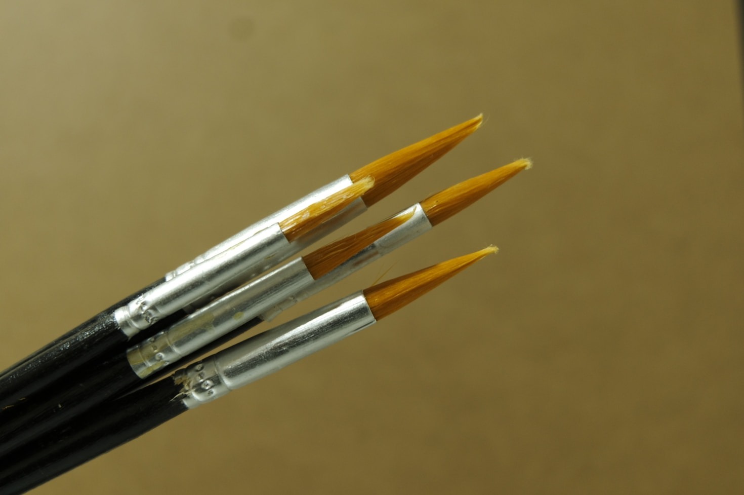 Free vs Premium Lessons: What’s Right for You?